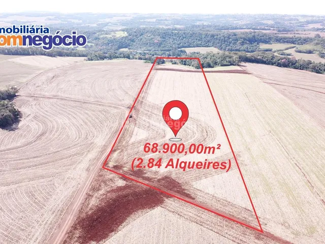 Imagem: Terra a Venda, Linha Palmital,Marechal Cândido