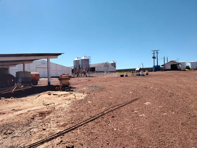 Imagem 9: Granja Avícola em Alto santa Fé-Nova santa Rosa