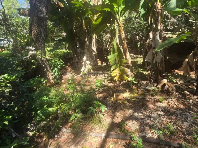 Imagem 16: Chácara com Açude e Área de Plantio em Mercedes!