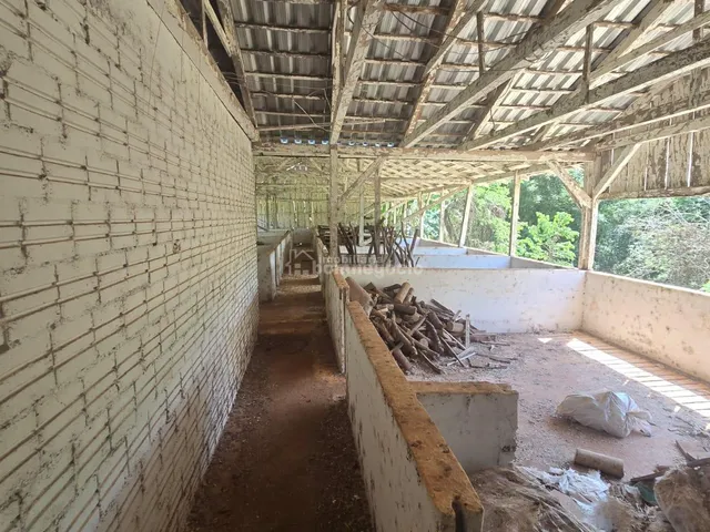 Imagem 12: Rural À Venda, Linha Lenz, Quatro Pontes - Pr