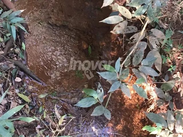 Imagem: Chácara À Venda, Zona Rural, Toledo