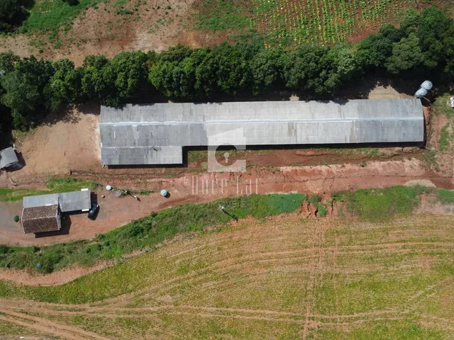 Imagem 16: Área Rural para Venda na Comunidade São Pedro do Sul, Dois Vizinhos - Pr