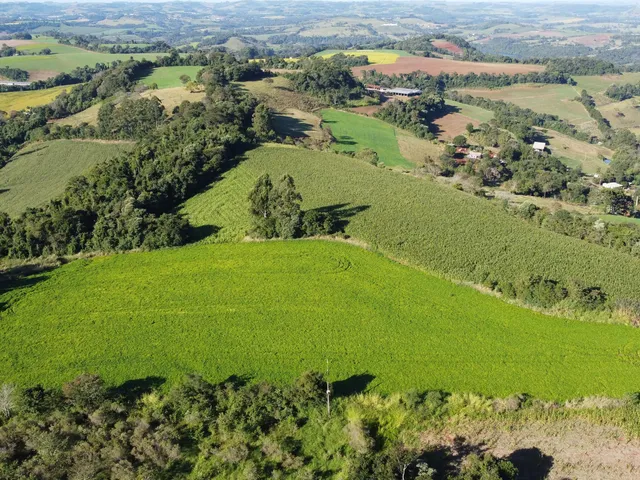 Imagem 5: Rural À Venda, Linha Conrado, Dois Vizinhos - Pr