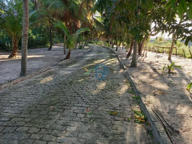 Imagem 5: Área Residencial e Comercial / Área / Área Residencial em Natal-Rn / Área Comercial em Natal-Rn / Área em Parnamirim