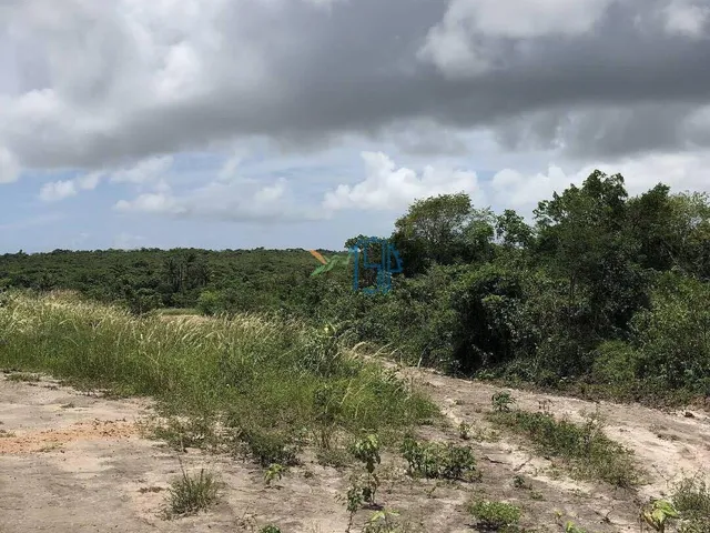 Imagem 5: Terreno de 80.000 M² em Cabeceiras, Tibau do Sul - Ideal para Loteamento