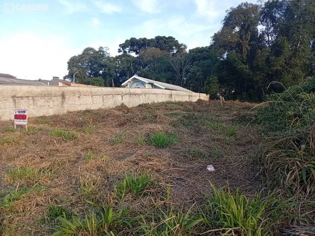 Imagem 6: Terreno À Venda no Bairro São Braz, União da Vitória - Pr