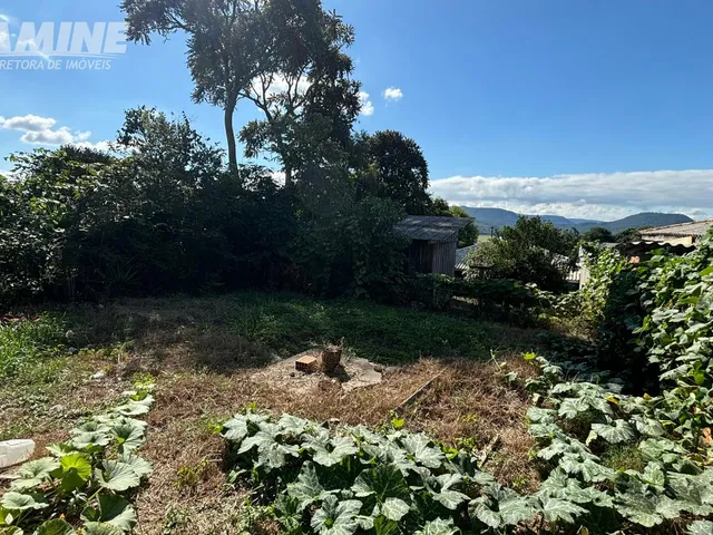 Imagem 3: Terreno À Venda no Bairro São Braz União da Vitória - Pr