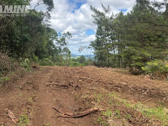 Imagem: Terreno À Venda no Bairro São Pedro, Porto