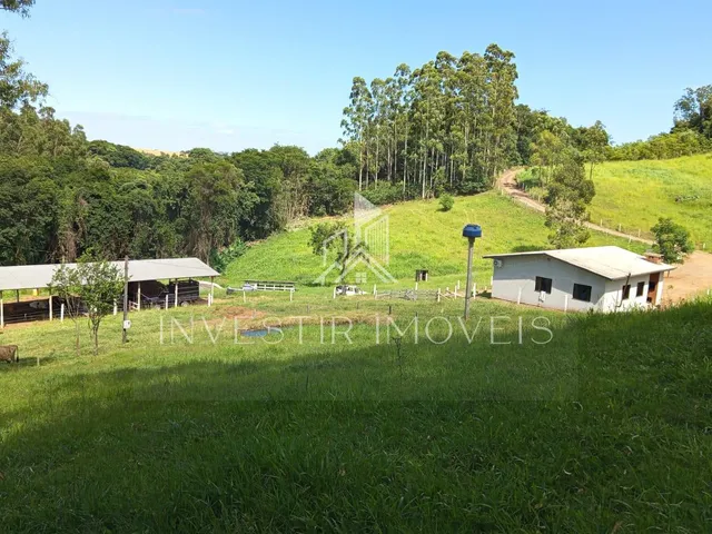 Imagem 14: Sítio, Linha São Salvador, Ampere - Pr