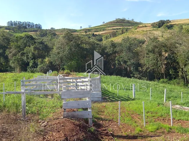 Imagem 6: Sítio À Venda, Comunidade da Cabeceira, Ampere - Pr