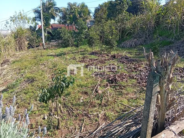 Imagem 7: Excelente Terreno de Esquina, Sadia, Francisco Beltrão - Pr