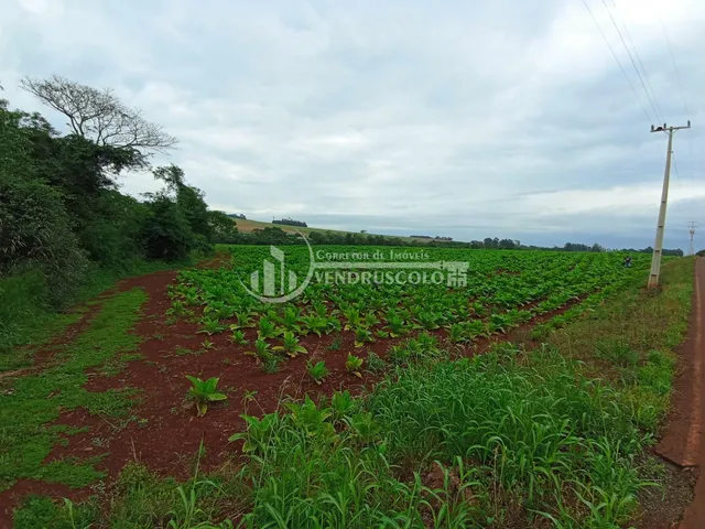 Imagem 2: Area Rural À Venda, com 4,31 Hectares na Linha Buritti, Itaipulandia - Pr