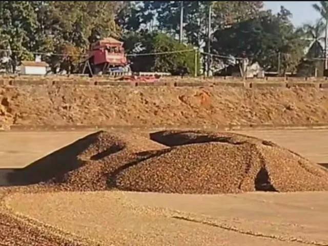Imagem 15: 0 Fazenda / sítio com venda por R$700.000.000