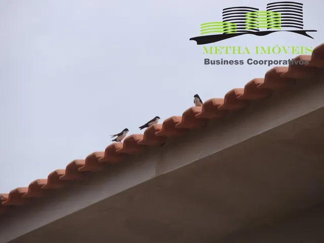 Imagem 3: Chácara com 4 Suítes e 5 Banheiros em Araçoiaba da Serra-Sp: Oportunidade Única no Campo do Meio!