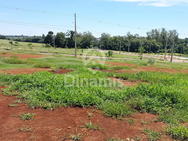 Imagem 5: Terreno Há 100 Metros do Lago Cristo Rei, Loteamento São José, Toledo - Pr