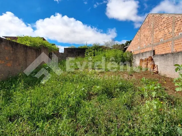 Imagem 3: Terreno Próximo Ao Supermercado Parteka XV