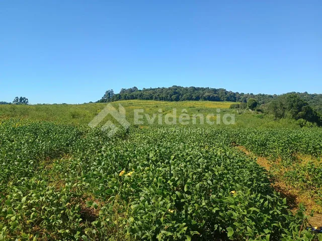 Imagem 3: Área Rural no Jordão com Parte de Lavoura Proximo a Cidade