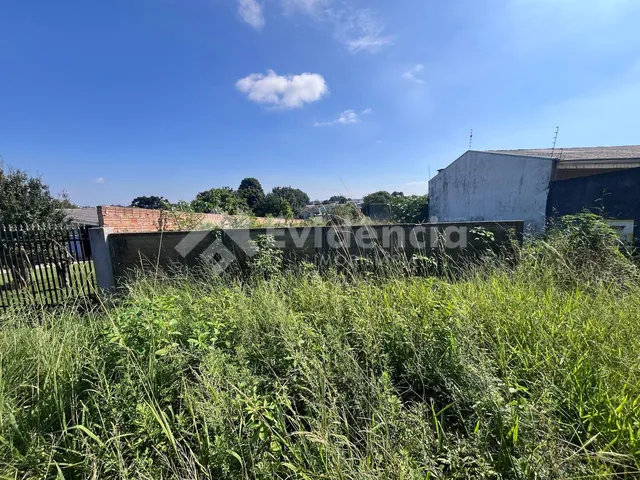 Imagem 2: Ótimo Terreno Urbano Localizado no Bairro Vila Bela Medindo 400,00 M²