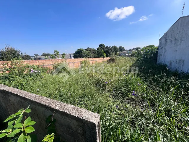 Imagem 4: Ótimo Terreno Urbano Localizado no Bairro Vila Bela Medindo 400,00 M²