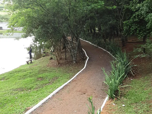 Imagem 13: Sobrado À Venda, Condomínio Fechado, Pque Verde, Cascavel Pr