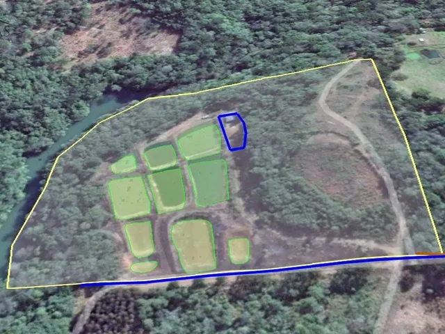 Imagem 3: Sítio Cruz Machado! 2 Alqueires com 10 Tanques de Peixes, Casa de 270 M² e 2.000 Pés de Erva-Mate!