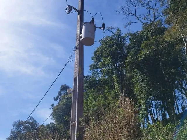 Imagem 10: Sítio Cruz Machado! 2 Alqueires com 10 Tanques de Peixes, Casa de 270 M² e 2.000 Pés de Erva-Mate!