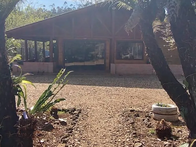 Imagem 9: Sítio Cruz Machado! 2 Alqueires com 10 Tanques de Peixes, Casa de 270 M² e 2.000 Pés de Erva-Mate!