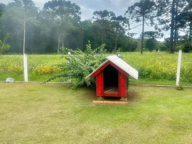 Imagem 3: Oportunidade Única! Área Urbana com 24.200 M² em Paula Freitas-Pr