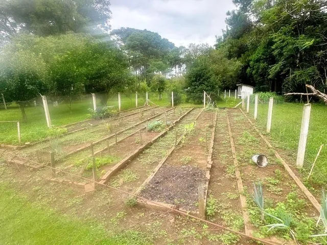 Imagem 12: Oportunidade Única! Área Urbana com 24.200 M² em Paula Freitas-Pr
