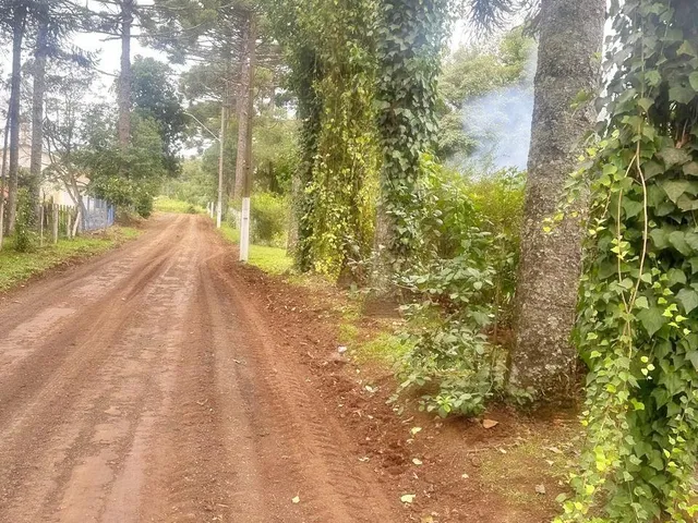 Imagem 7: Oportunidade Única! Área Urbana com 24.200 M² em Paula Freitas-Pr
