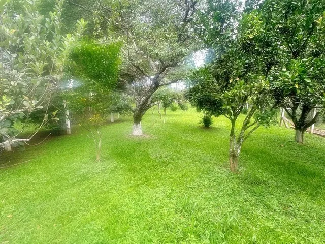 Imagem 14: Oportunidade Única! Área Urbana com 24.200 M² em Paula Freitas-Pr