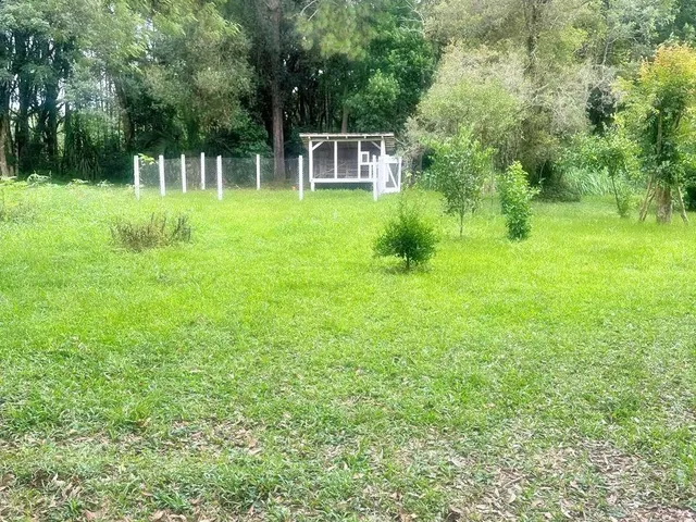 Imagem 15: Oportunidade Única! Área Urbana com 24.200 M² em Paula Freitas-Pr