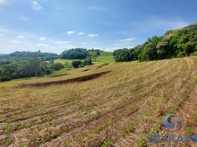 Imagem 2: Chácara À Venda na Comunidade de Quebra Freio em Pato Branco - Pr