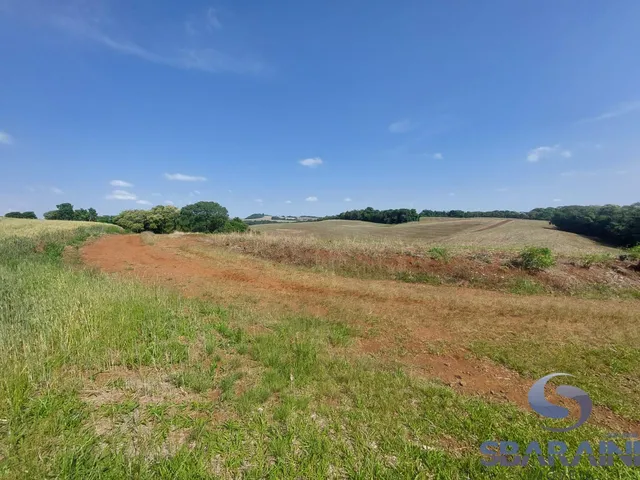 Imagem 4: Chácara À Venda na Comunidade de Quebra Freio em Pato Branco - Pr