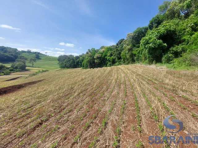 Imagem 6: Chácara À Venda na Comunidade de Quebra Freio em Pato Branco - Pr