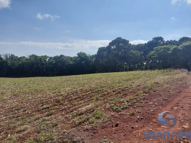 Imagem 7: Chácara À Venda na Comunidade de Quebra Freio em Pato Branco - Pr