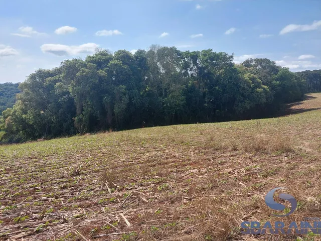 Imagem 9: Chácara À Venda na Comunidade de Quebra Freio em Pato Branco - Pr