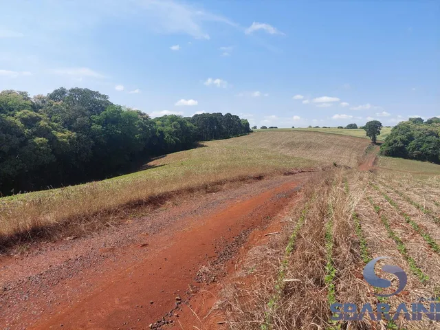 Imagem 11: Chácara À Venda na Comunidade de Quebra Freio em Pato Branco - Pr