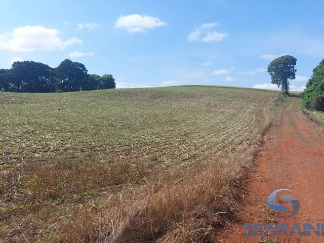 Imagem 12: Chácara À Venda na Comunidade de Quebra Freio em Pato Branco - Pr