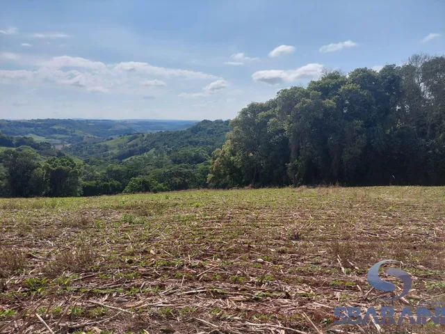 Imagem 13: Chácara À Venda na Comunidade de Quebra Freio em Pato Branco - Pr
