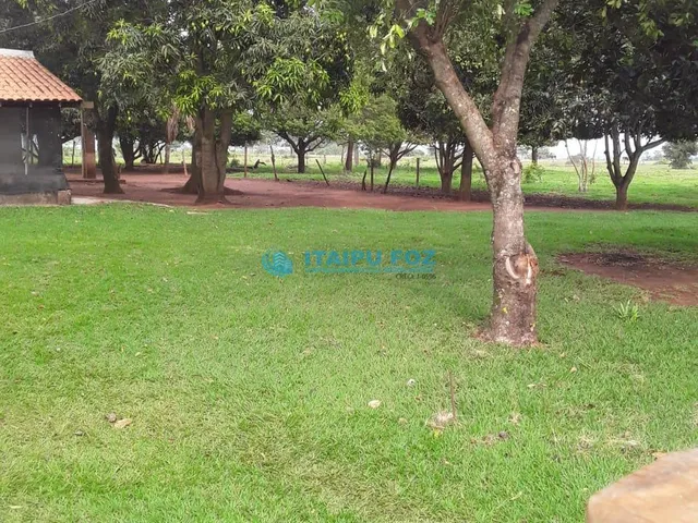 Imagem 6: Chacara para Venda em Bataguassu - Ms