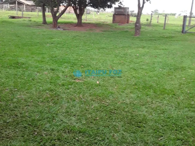 Imagem 12: Chacara para Venda em Bataguassu - Ms