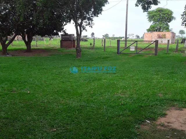 Imagem 15: Chacara para Venda em Bataguassu - Ms