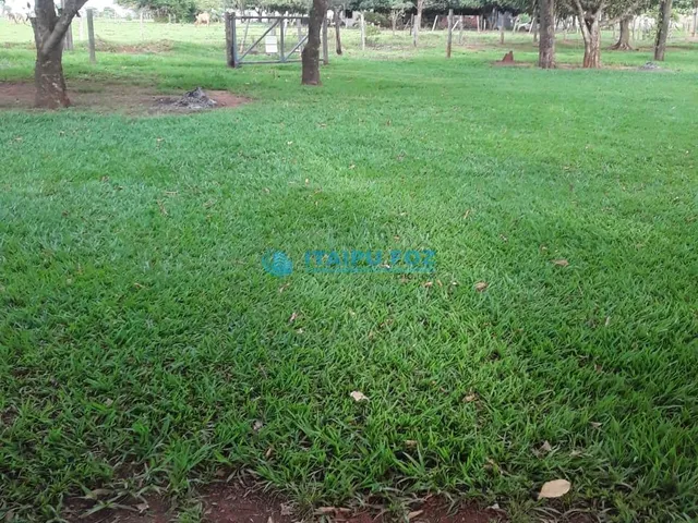 Imagem 16: Chacara para Venda em Bataguassu - Ms