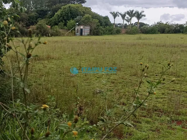 Imagem 5: Chácara À Venda, Arroio Dourado, Foz do Iguacu - Pr