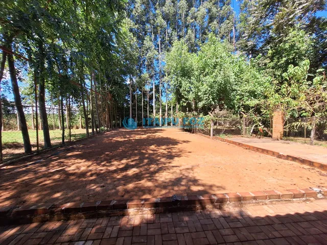 Imagem 14: Chácara À Venda no Remanso Grande - Foz do Iguaçu-Pr