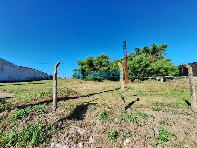 Imagem 4: Terreno a Venda as Margens da Br 277 - Vila Perola - Foz do Iguaçu