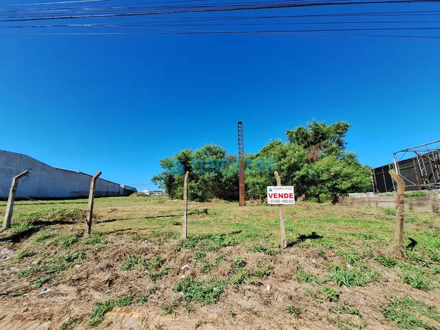 Imagem 8: Terreno a Venda as Margens da Br 277 - Vila Perola - Foz do Iguaçu