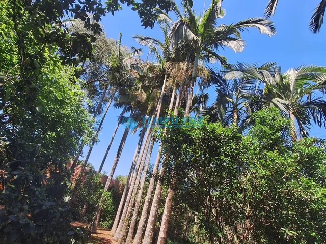 Imagem 5: Chácara À Venda no Lote Grande - Foz do Iguaçu
