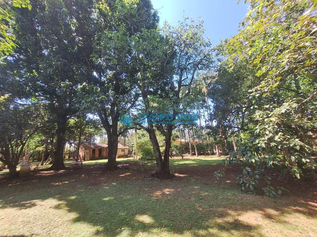 Imagem 7: Chácara À Venda no Lote Grande - Foz do Iguaçu